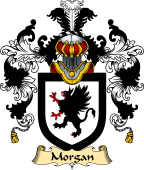 Irish Family Coat of Arms (v.25) Morgan