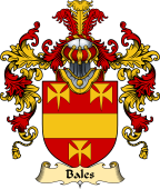 English Family Coat of Arms (v.25) Bales