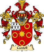 Irish Family Coat of Arms (v.25) Cantell