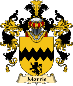 Irish Family Coat of Arms (v.25) Morris