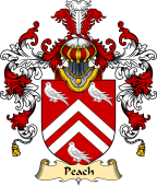 English Family Coat of Arms (v.25) Peach