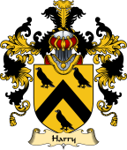 Welsh Family Coat of Arms (v.25) Harry (AP THOMAS)