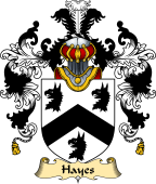 Irish Family Coat of Arms (v.25) Hayes