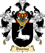 English Family Coat of Arms (v.25) Downes