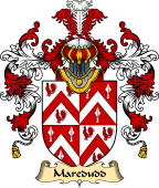 Welsh Family Coat of Arms (v.25) Maredudd (or Meredith, AP MORGAN)