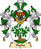 Scottish Family Coat of Arms (v.25) Hyslop