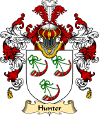 Irish Family Coat of Arms (v.25) Hunter