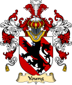 Irish Family Coat of Arms (v.25) Young