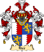 Irish Family Coat of Arms (v.25) Rice