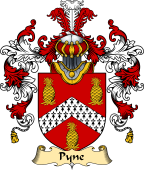 Irish Family Coat of Arms (v.25) Pyne