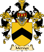 Irish Family Coat of Arms (v.25) Mervyn