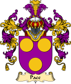 English Family Coat of Arms (v.25) Pace