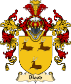 English Family Coat of Arms (v.25) Blood