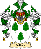 English Family Coat of Arms (v.25) Selioke or Selleck