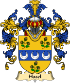 English Family Coat of Arms (v.25) Hasel