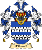 Irish Family Coat of Arms (v.25) O'Hamill