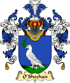 Irish Family Coat of Arms (v.25) O'Sheehan