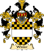 English Family Coat of Arms (v.25) Winter II