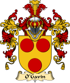 Irish Family Coat of Arms (v.25) O'Garvin or Gavan