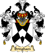 English Family Coat of Arms (v.25) Bringham