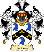 Irish Family Coat of Arms (v.25) Jackson