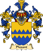 English Family Coat of Arms (v.25) Phesant