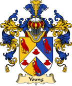 Welsh Family Coat of Arms (v.25) Young (Bishop of St. David’s)