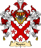 English Family Coat of Arms (v.25) Napier