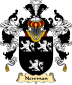 English Family Coat of Arms (v.25) Newman