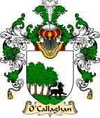 Irish Family Coat of Arms (v.25) O'Callaghan