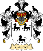 English Family Coat of Arms (v.25) Chantrell