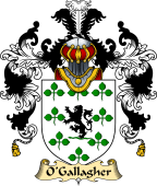 Irish Family Coat of Arms (v.25) O'Gallagher or Goligher