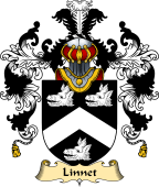 English Family Coat of Arms (v.25) Linnet