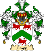 English Family Coat of Arms (v.25) Bragg