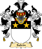 English Family Coat of Arms (v.25) Salvin