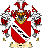 Irish Family Coat of Arms (v.25) Janes or Janns