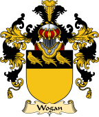 Irish Family Coat of Arms (v.25) Wogan