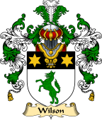 Irish Family Coat of Arms (v.25) Wilson II