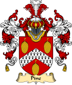 English Family Coat of Arms (v.25) Pine or Pyne