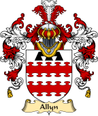 Irish Family Coat of Arms (v.25) Allyn