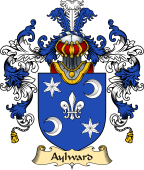 Irish Family Coat of Arms (v.25) Aylward