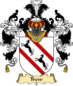 English Family Coat of Arms (v.25) Trew