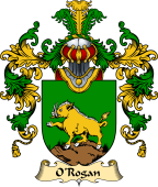 Irish Family Coat of Arms (v.25) O'Rogan