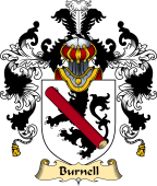 Irish Family Coat of Arms (v.25) Burnell