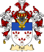 English Family Coat of Arms (v.25) Peel