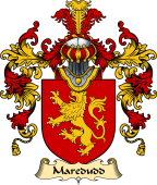 Welsh Family Coat of Arms (v.25) Maredudd (or Meredith, AP BLEDDYN AP CYNFYN)