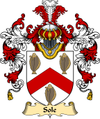 English Family Coat of Arms (v.25) Sole