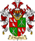 Irish Family Coat of Arms (v.25) O'Naghten