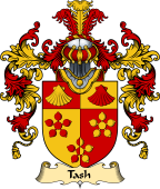 English Family Coat of Arms (v.25) Tash