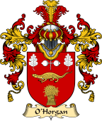 Irish Family Coat of Arms (v.25) O'Horgan or Hourigan